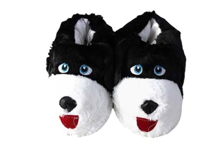 Z- ALB - KÖPEK - PANDUF - SİYAH-BEYAZ