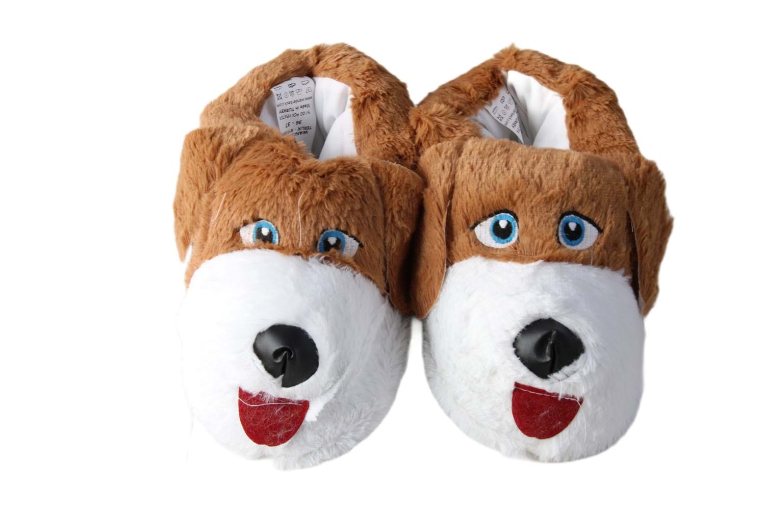 Z- ALB - KÖPEK - PANDUF - TABA-BEYAZ