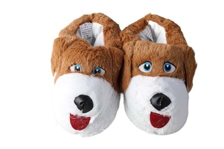 Z- ALB - KÖPEK - PANDUF - TABA-BEYAZ