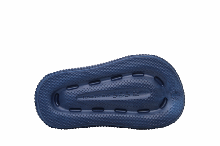 P- ROOSTER EVA 424-3D - YES - LAC